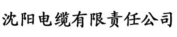 视频在线观看麻豆电缆厂logo